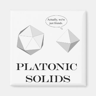 Platonic Solids magnet