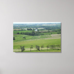 Platteville, Wisconsin Grapevine Vineyard Poster Canvas Print