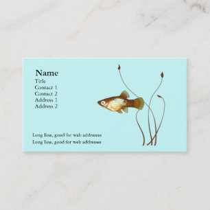 Platy sur le carte de visite bleu