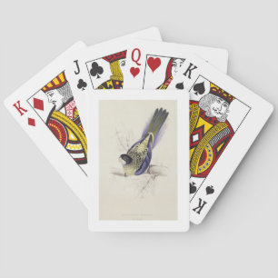 Platycercus Brownii, or Brown's Parrakeet (Plate 2 Playing Cards
