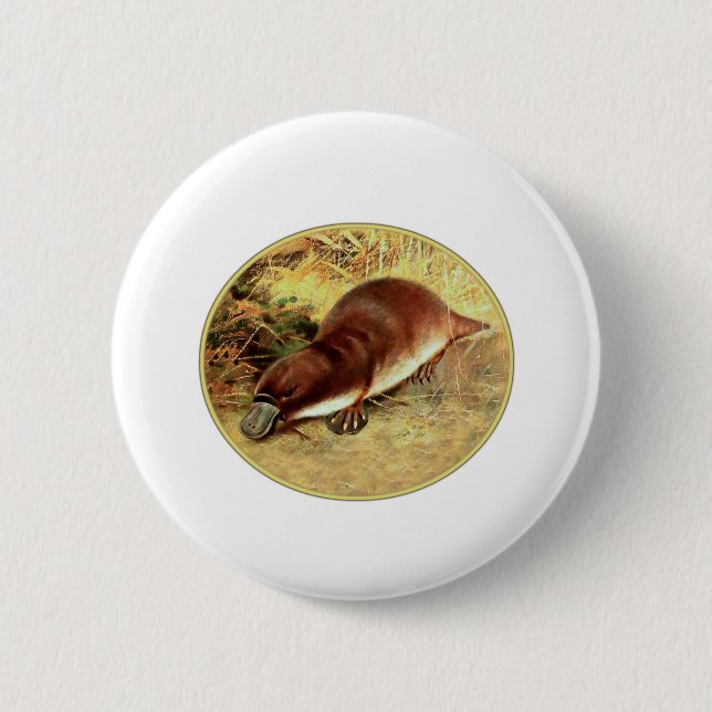 Platypus 2 Inch Round Button (Front)