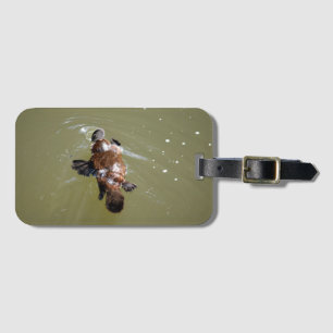 PLATYPUS & DRAGONFLY EUNGELLA QUEENSLAND AUSTRALIA LUGGAGE TAG