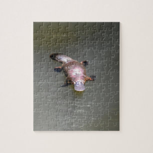 PLATYPUS EUNGELLA NATIONAL PARK AUSTRALIA JIGSAW PUZZLE