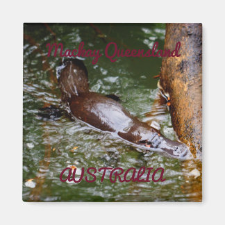 PLATYPUS EUNGELLA NATIONAL PARK AUSTRALIA MAGNET
