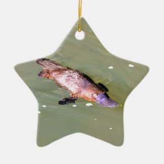 PLATYPUS IN WATER EUNGELLA AUSTRALIA CERAMIC ORNAMENT