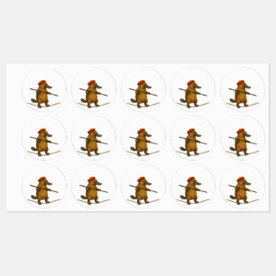 Platypus on a tightrope - ADD your text.