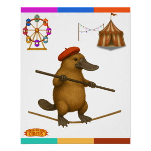 Platypus on a tightrope poster