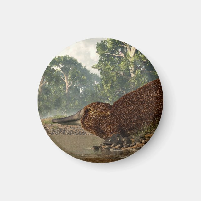 Platypus on the Shore Magnet (Front)