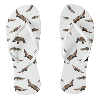 Platypus (Ornithorhynchus anatinus) Flip Flops