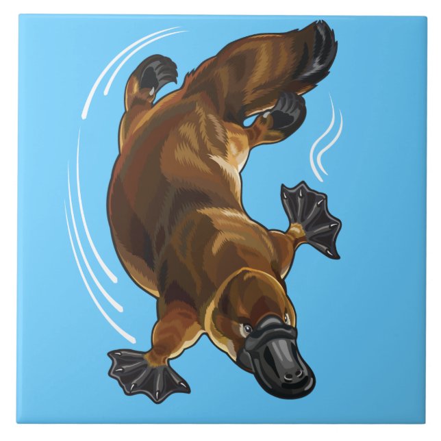 platypus tile (Front)
