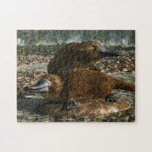 Platypuses Jigsaw Puzzle