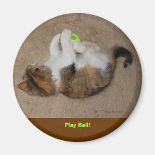 Play Ball! Magnet