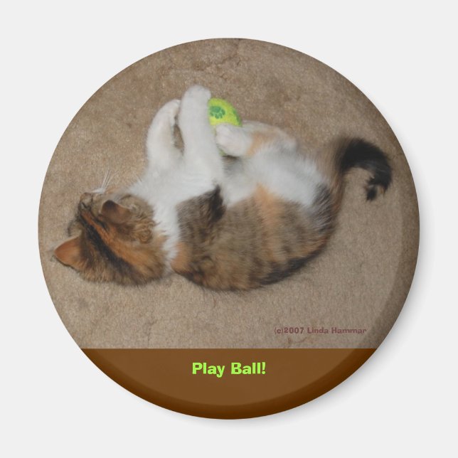 Play Ball! Magnet (Front)