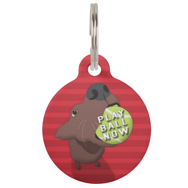 Play Ball Now Pet ID Tag (Front)