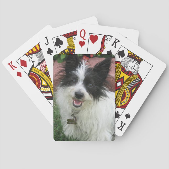 Play Cards with Mutts (Back)