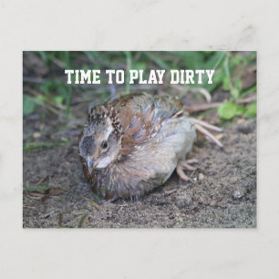 Play Dirty, Bob White Quail Taking a Dirt Bath Postcard