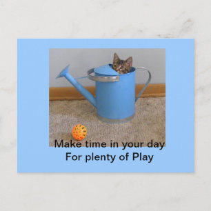 Play kitty Postcard