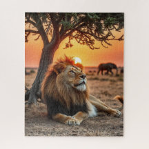 Play & Learn Puzzle Adventures