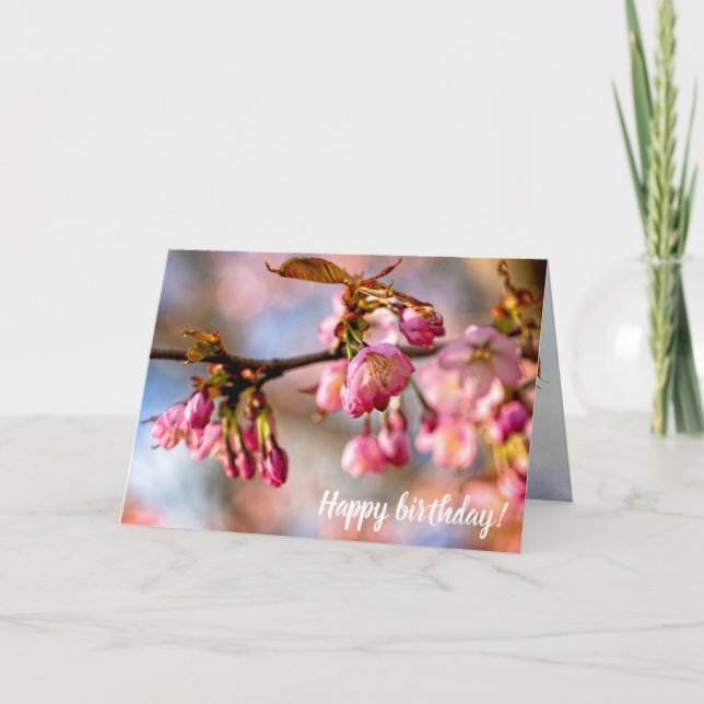 Play Of Light And Shadow On Sakura Flower Petals Card (Front)