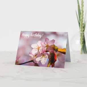 Play Of Sunlight And Shadow On Sakura Petals Card