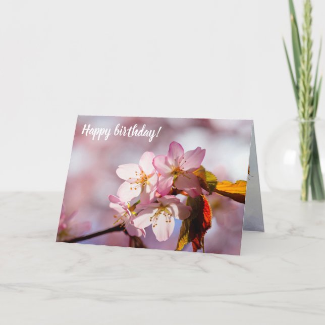 Play Of Sunlight And Shadow On Sakura Petals Card (Front)