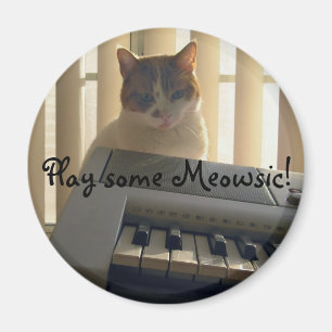 Play some Meowsic! Magnet