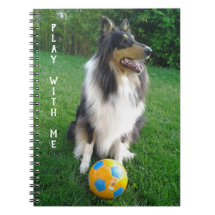 Play with me. Fans de football. Notebook