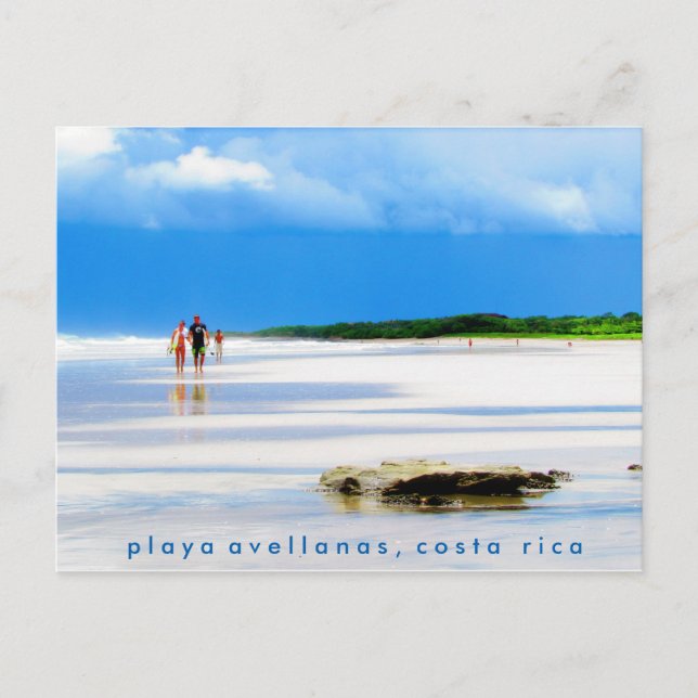 Playa Avellanas Beach Postcard (Front)