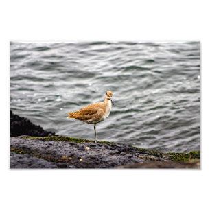 Playa Del Rey Photo Print