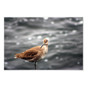 Playa Del Rey Photo Print