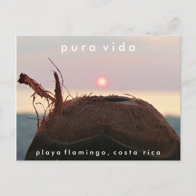Playa Flamant rose Sunset Coconut Costa Rica Carte (Devant)