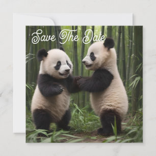Playful Baby Pandas In A Bamboo Forest,  Save The Date