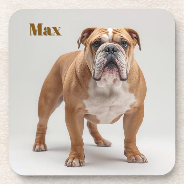Playful Bulldog Personalized Beverage Coaster Set (Front)