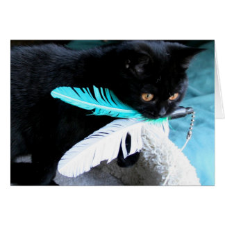 Playful cat catches feather toy