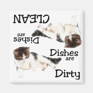 Playful Cat Dishwasher Magnet