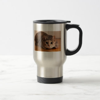 Playful Cat Mug