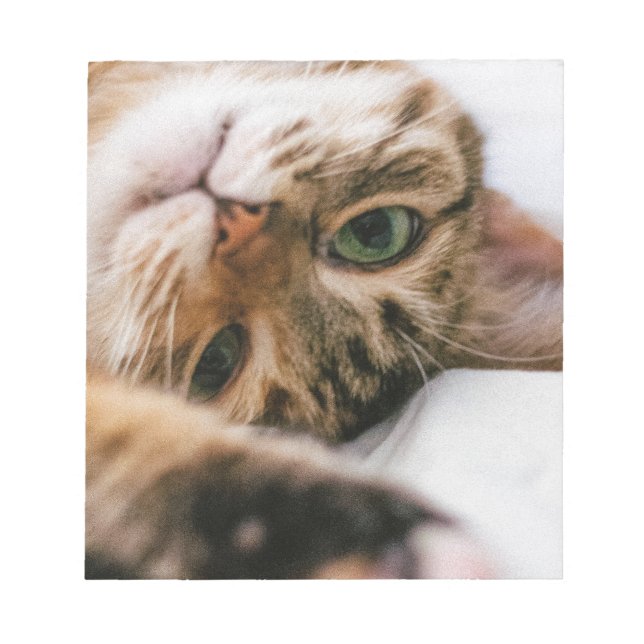 playful cat notepad (Front)