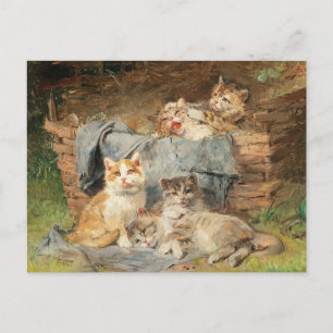Playful Cats   Julius Adam the Younger Postcard