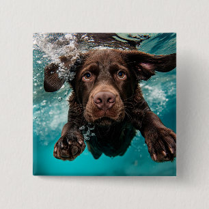 Playful Chocolate Labrador Swimming Underwater 2 Inch Square Button