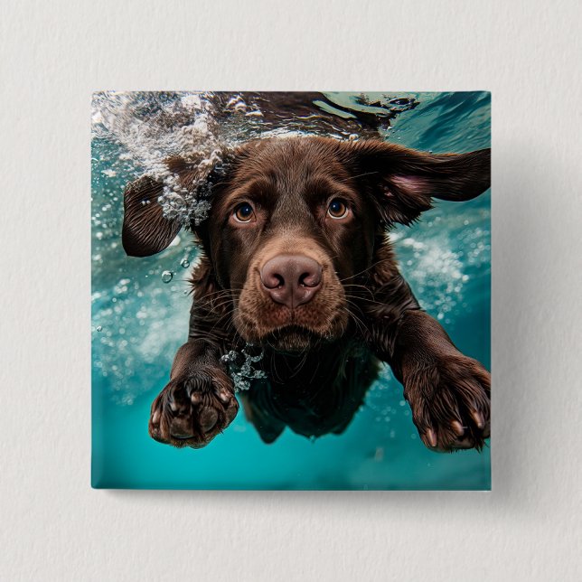Playful Chocolate Labrador Swimming Underwater 2 Inch Square Button (Front)