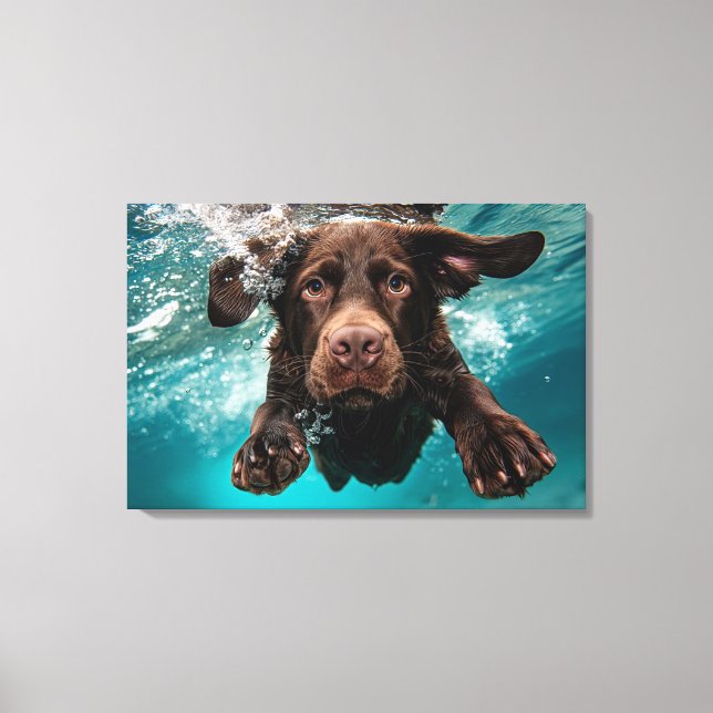 Playful Chocolate Labrador Swimming Underwater Canvas Print (Front)