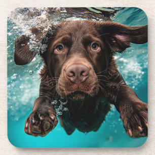 Playful Chocolate Labrador Swimming Underwater Coaster