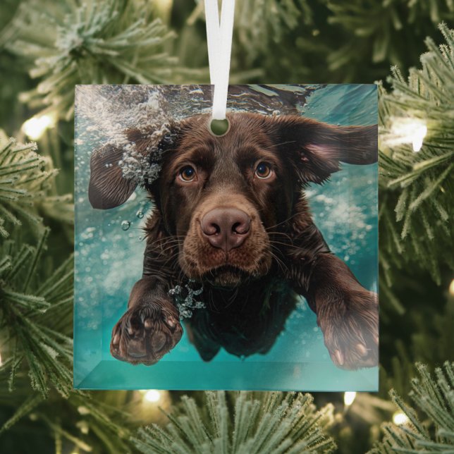 Playful Chocolate Labrador Swimming Underwater Glass Ornament (Insitu)