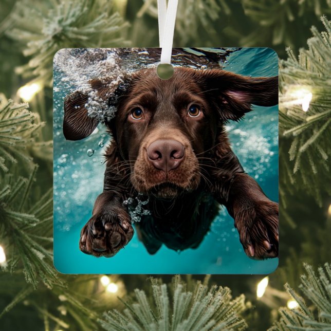 Playful Chocolate Labrador Swimming Underwater Metal Ornament (Insitu)