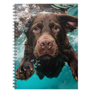 Playful Chocolate Labrador Swimming Underwater Notebook
