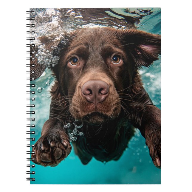 Playful Chocolate Labrador Swimming Underwater Notebook (Front)