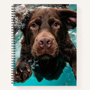 Playful Chocolate Labrador Swimming Underwater Notebook