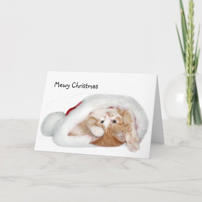 Playful Christmas kitten Holiday Card (Front)