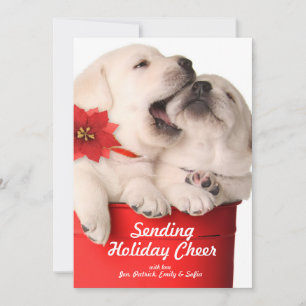 Playful Christmas Puppies In A Red Container Holiday Card