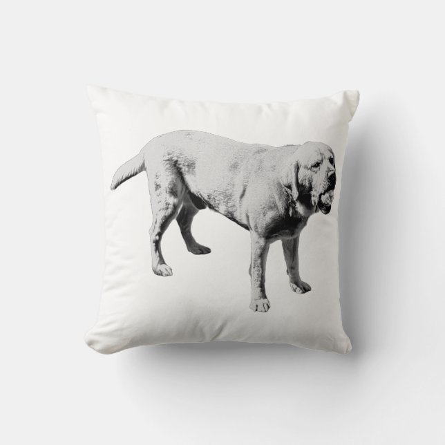 Playful Companion Throw Pillow (Front)